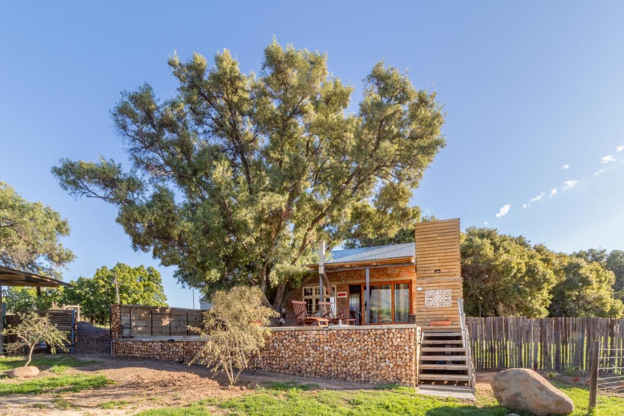 Bergsicht Country Farm Cottages تولباغ المظهر الخارجي الصورة