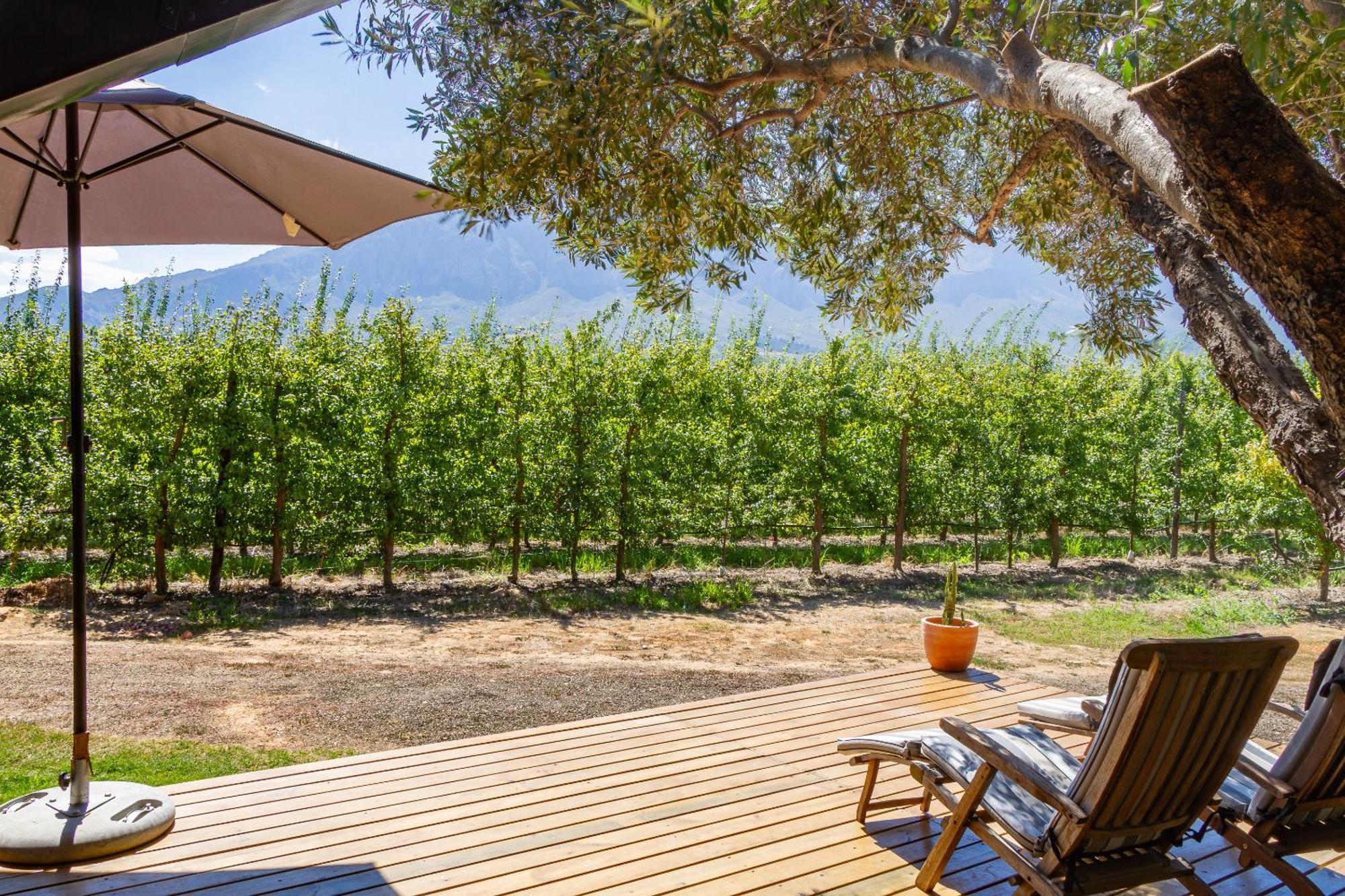 Bergsicht Country Farm Cottages تولباغ المظهر الخارجي الصورة